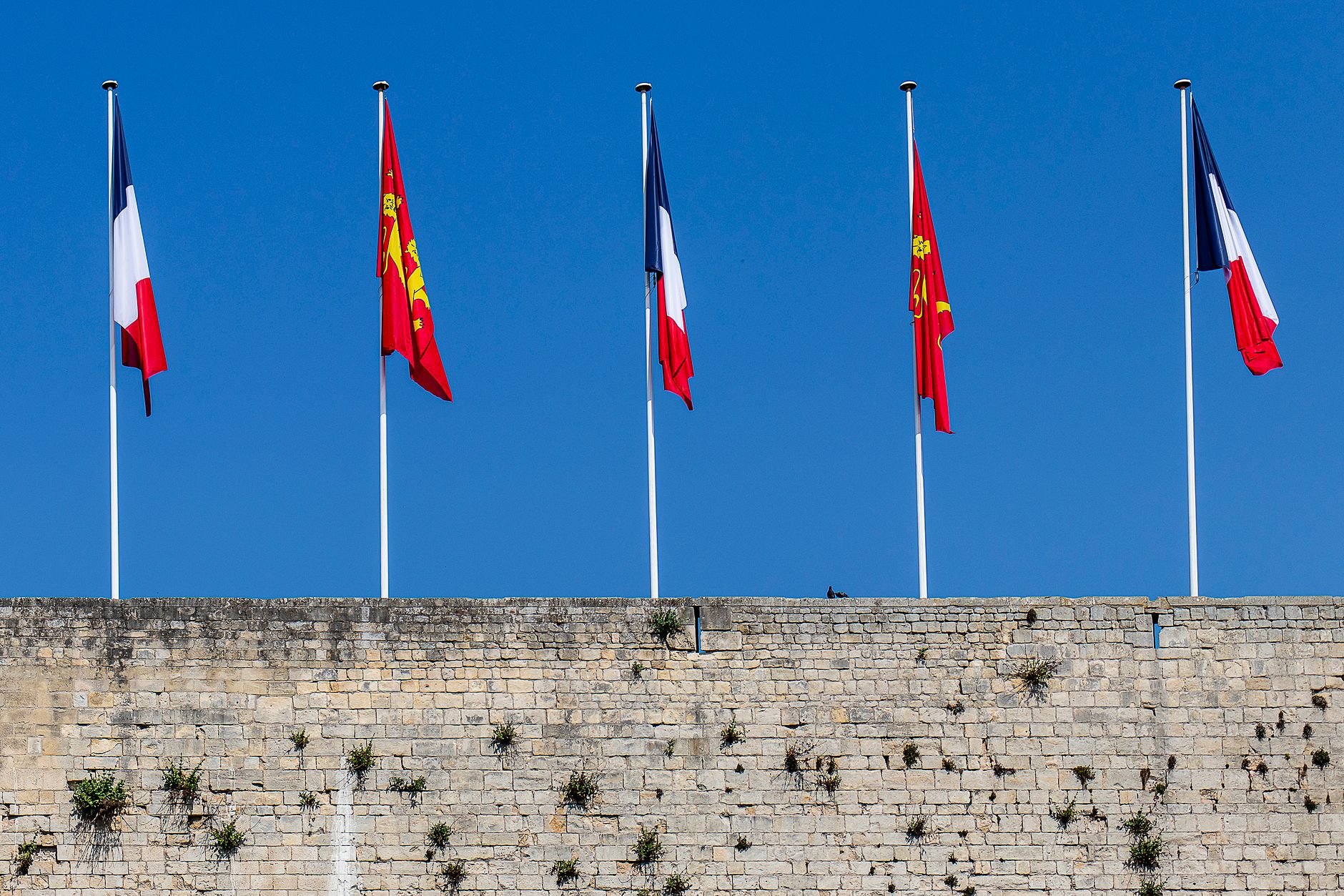 Feature flags w DevOps: jak wdrażać często, a włączać bezpiecznie Flagi Francji i Normandii na masztach nad kamiennym murem w Caen