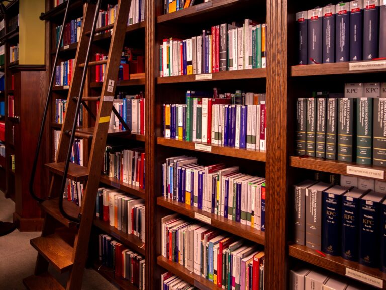 Jak stworzyć mini serwer HTTP w Go bez zewnętrznych bibliotek?